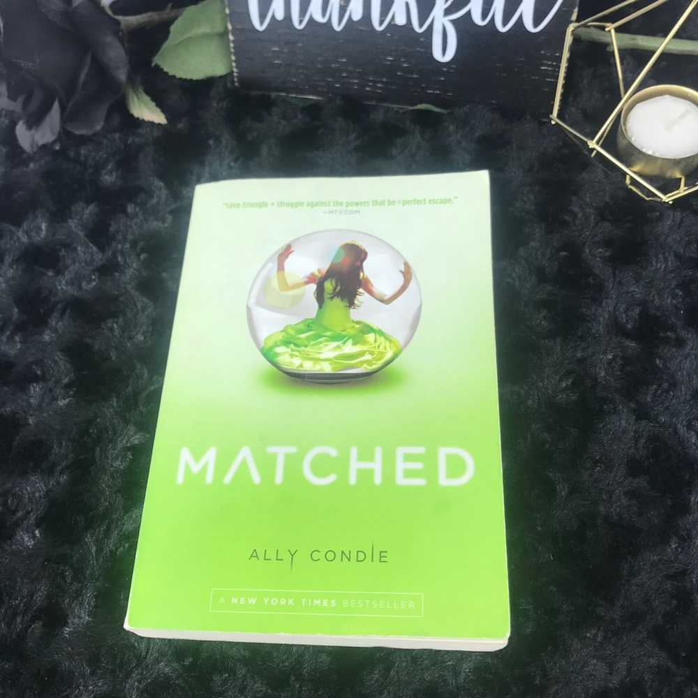 Ally Condie Trilogy Book Set - Picture 3 of 5